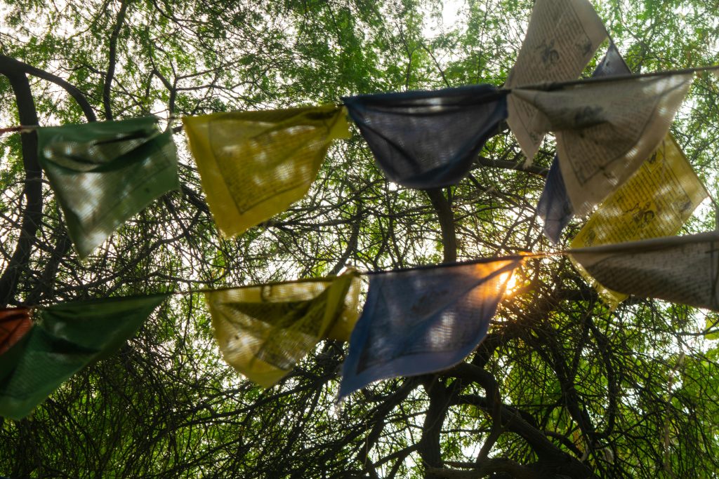 Vibrant prayer flags strung through lush trees with sunlight peeking through leaves.